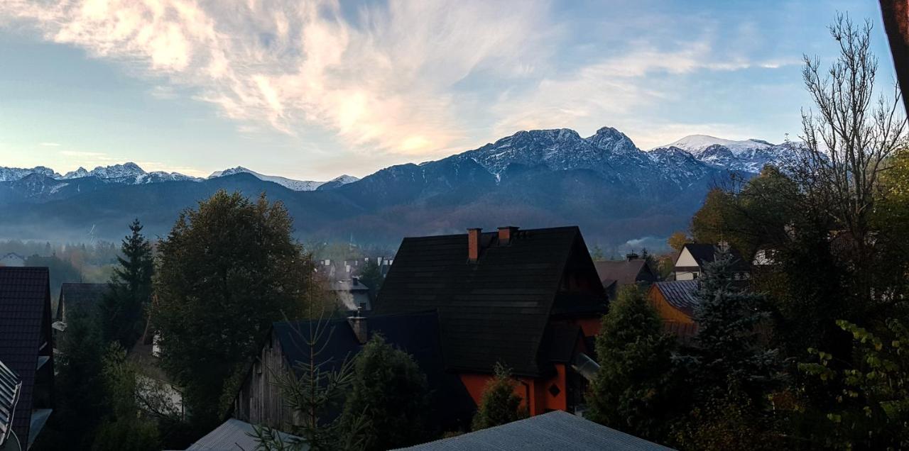 Willa Ceprowka Zakopane Buitenkant foto
